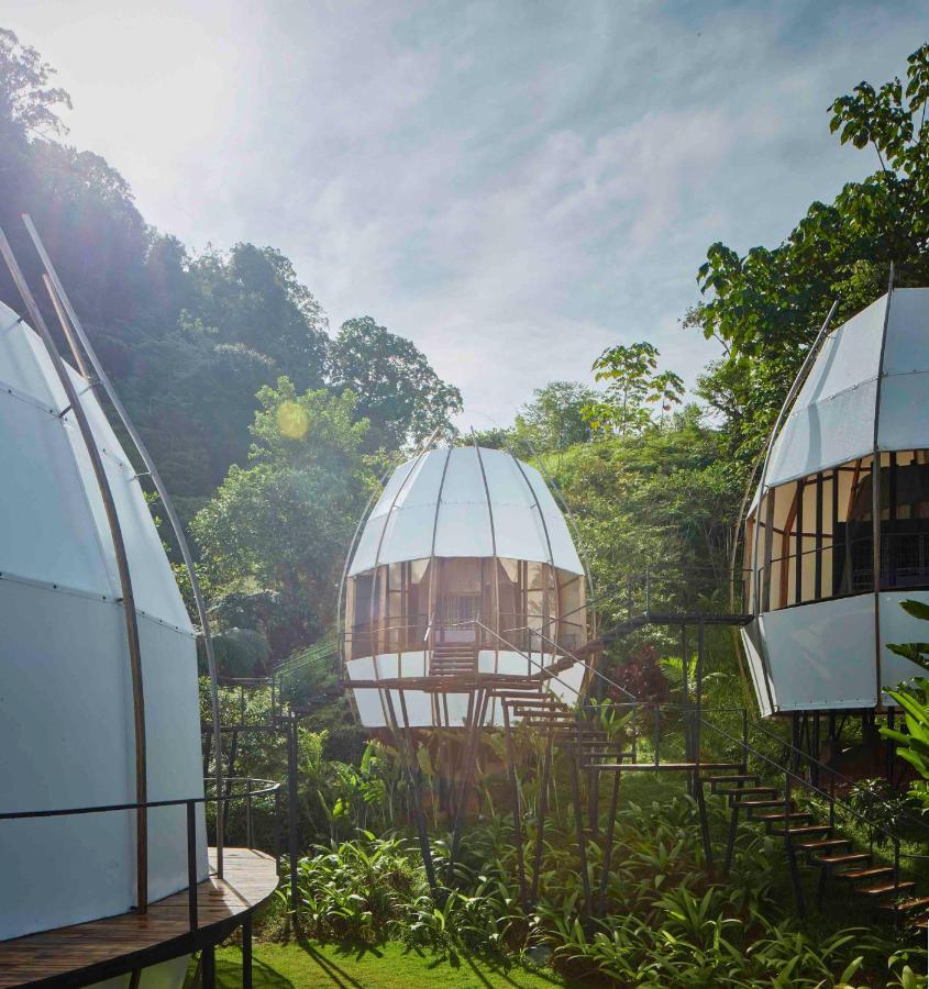Art Villas Costa Rica, Villas & Glamping Увита Екстериор снимка