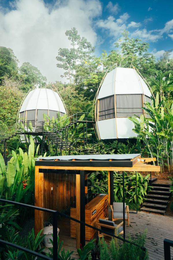 Art Villas Costa Rica, Villas & Glamping Увита Екстериор снимка